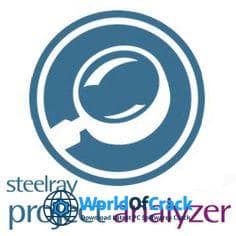 Steelray Project Analyzer Crack For Free Download