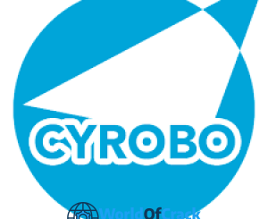 Cyrobo Clean Space Pro free download